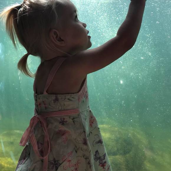 Meet your Posher, Daryl - Picture 1 of 1